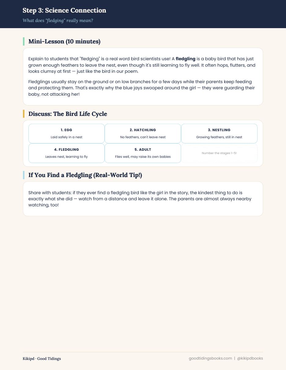 Fledging Lesson Plan — page 6 of 8